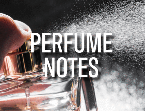 Perfume Notes Explained